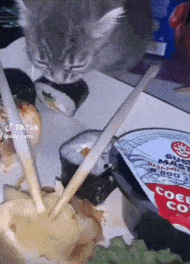 a cat is eating sushi with chopsticks next to a container of coleslaw