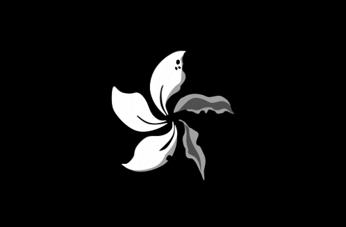 a black and white flower with leaves on a black background