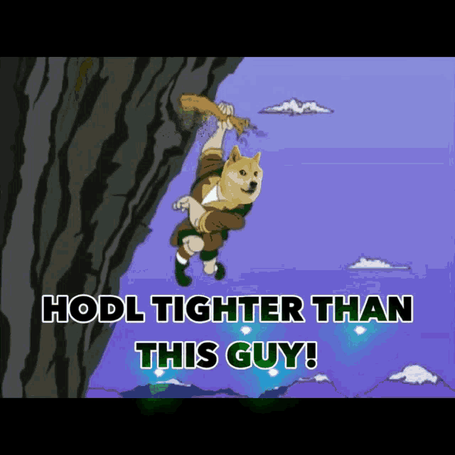 a cartoon of a dog climbing up a mountain with the words hodl tighter than this guy