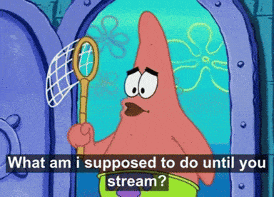 patrick star from spongebob squarepants is holding a fishing net and asking what am i supposed to do until you stream