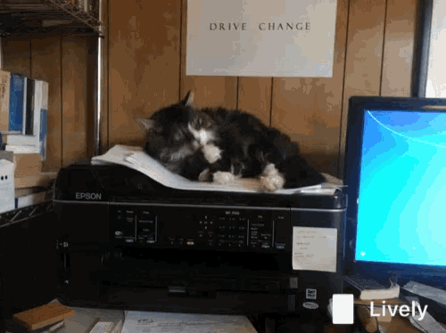 a cat laying on top of an epson printer next to a sign that says drive change