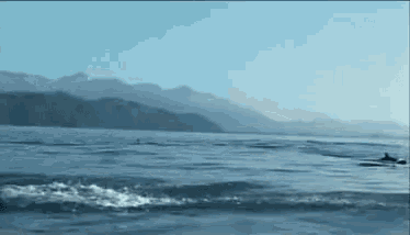a dolphin is swimming in the ocean near mountains