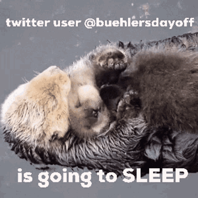 a couple of otters laying on top of each other with the words twitter user @buehlersdayoff is going to sleep
