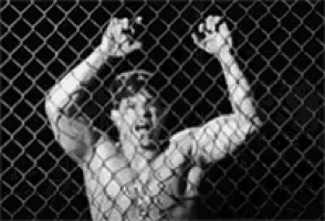 a man is standing behind a chain link fence with his hands up .