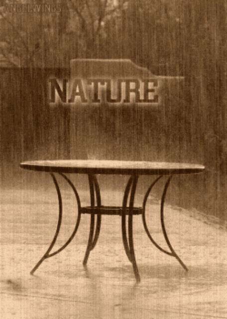 a black and white photo of a table with the word nature on it