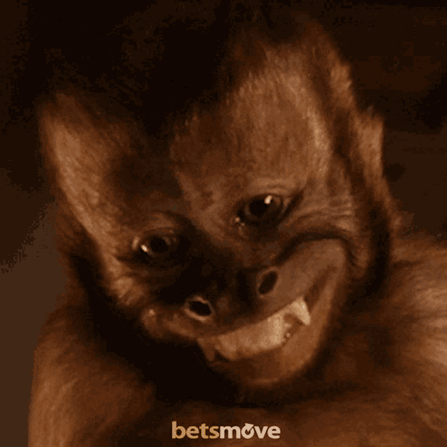 a picture of a monkey with a betsmove logo in the corner