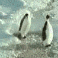 two penguins are standing on a rock in the water
