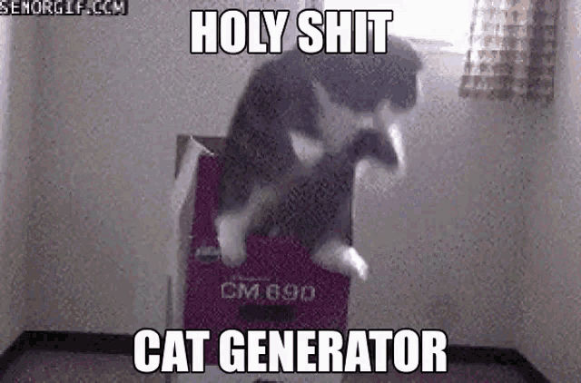 a cat is jumping out of a box with a caption that says `` holy shit cat generator '' .