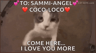 a cat is saying come here i love you more .