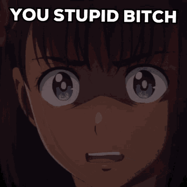 a picture of a girl with the words you stupid bitch behind her