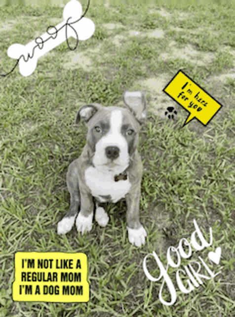 a puppy with a speech bubble that says " i 'm not like a regular mom "