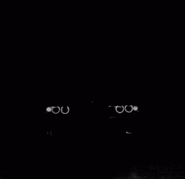 a black and white photo of a black bmw with the m3 written on the license plate
