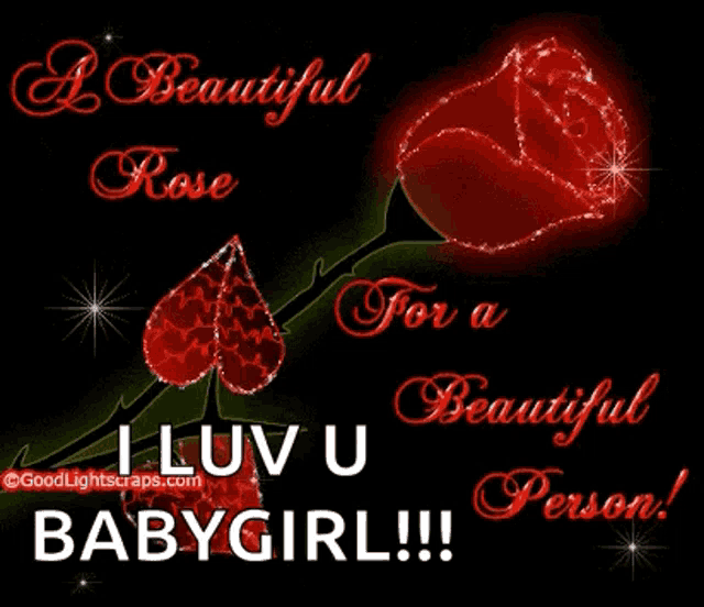 a beautiful rose for a beautiful person i luv u babygirl !!
