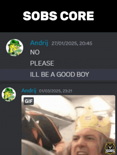 a screenshot of a discord conversation between andrej and a guy wearing a burger king crown