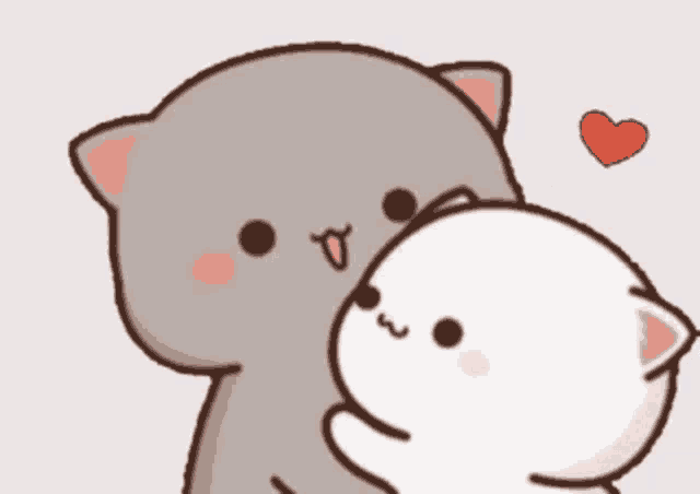 a gray cat is holding a white cat in its arms .