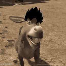 a donkey with a black wig on its head is standing in the dirt