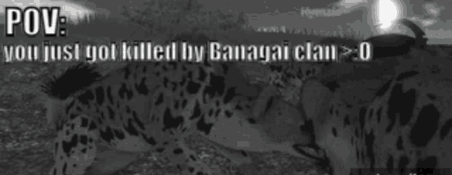 a black and white image of a leopard with the words pov you just got killed by banagai clan 0
