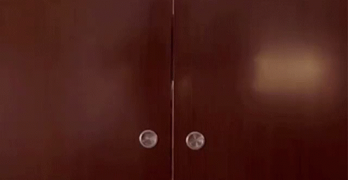 Shocked Opening Door GIF - Shocked Opening Door What GIFs