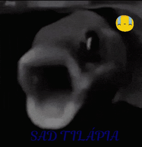 Triste Tilapia GIF - Triste Tilapia Sad GIFs