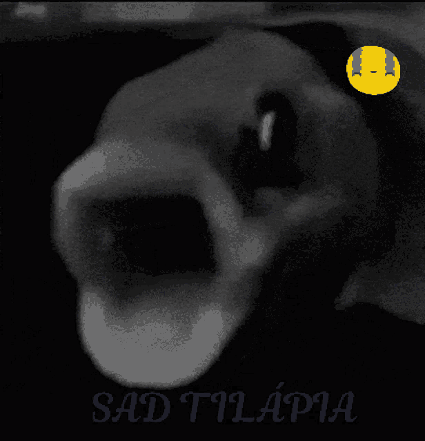 a black and white photo with the words sad tilapia