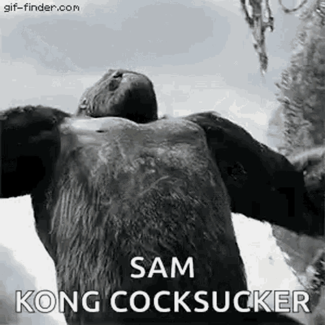 King Kong Chest Pound GIF - King Kong Chest Pound Angry GIFs