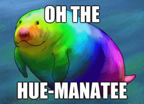 a rainbow manatee with the words oh the hue-manatee