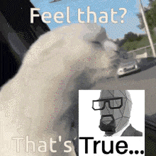 a picture of a cat wearing a gas mask with the words " feel that that 's true "