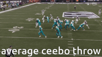 a football game is being played with the words average ceebo throw