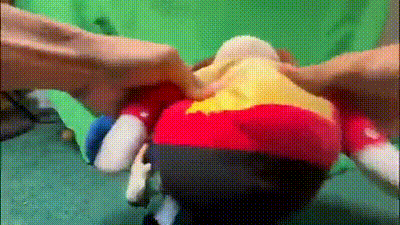 a person is holding a stuffed animal in their hands in front of a green screen .