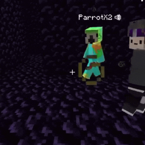 a screenshot of a minecraft game with the name arrotx2 on the bottom