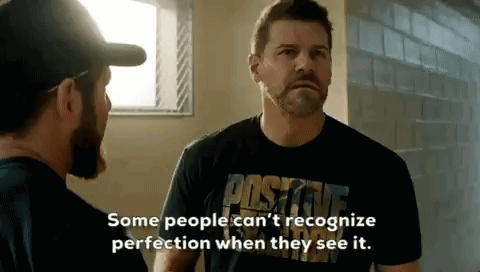 Some People Can'T Recognize Perfection Seal Team GIF - Some People Can'T Recognize Perfection Seal Team Jason Hayes GIFs