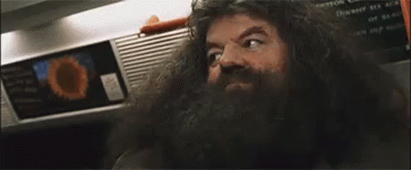 Oh GIF - Harry Potter Hagrid GIFs