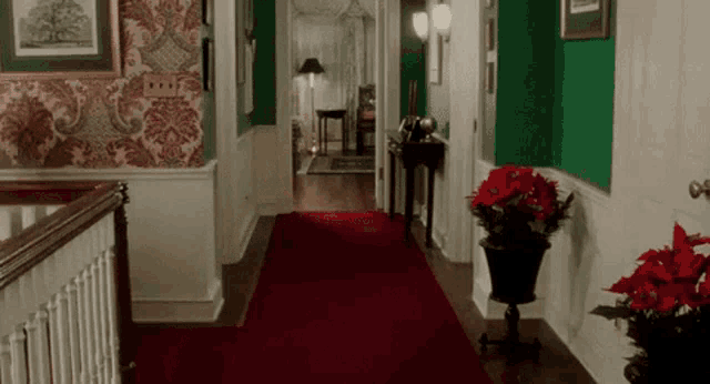 a hallway in a house with a red carpet and poinsettia plants .