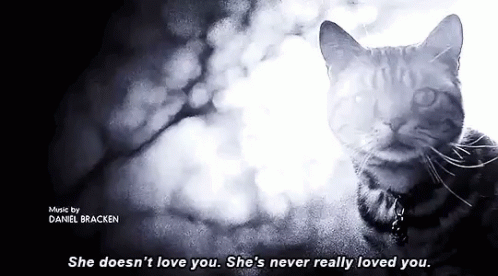 She Doesnt Love You She Never Really Loved You Evil Cats GIF - She Doesnt Love You She Never Really Loved You Evil Cats Evil Laugh GIFs