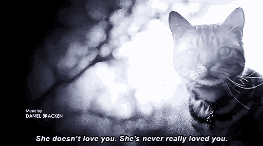 She Doesnt Love You She Never Really Loved You Evil Cats GIF