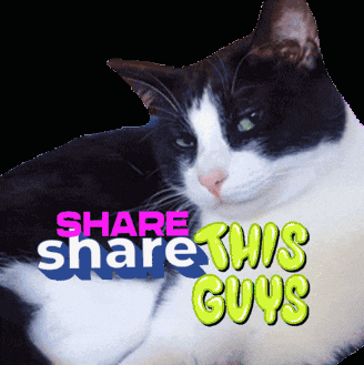 a black and white cat laying down with the words share share this guys above it