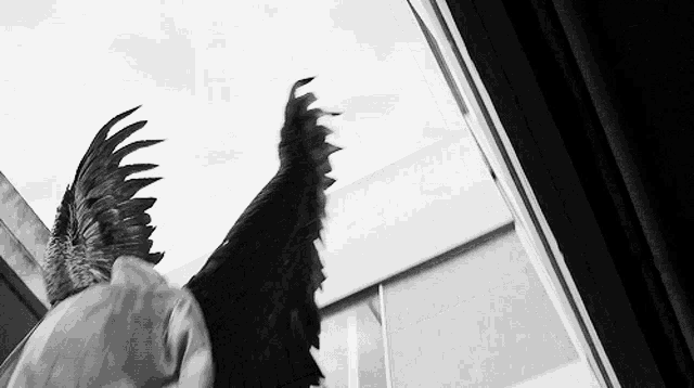 a black and white photo of a person with wings looking out a window