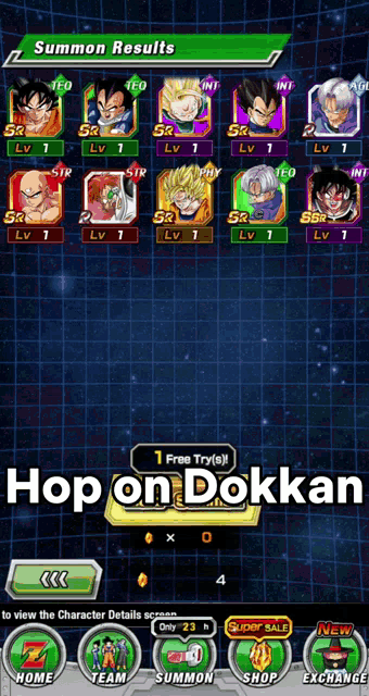 a screenshot of a game that says hop on dokka