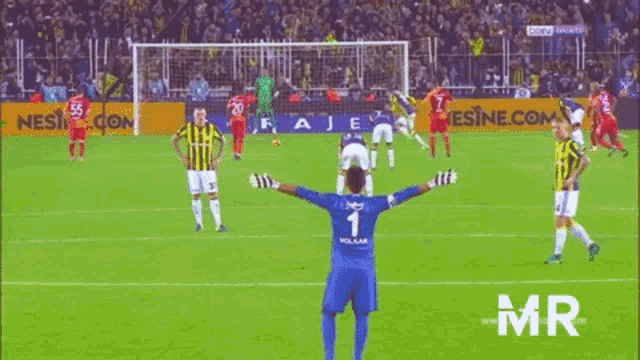 Fenerbahçe Volkan Demirel GIF - Fenerbahçe Volkan Demirel Skrtel GIFs