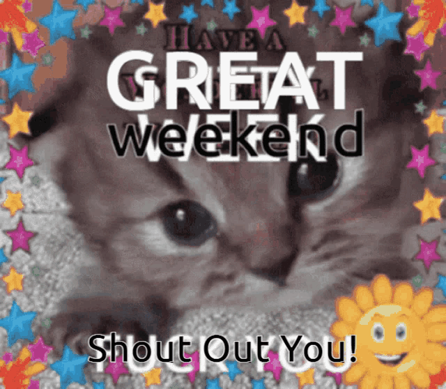 a picture of a kitten with the words have a great weekend shout out you on it
