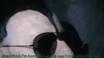 a person wearing sunglasses with the words " they think i 'm homosexual the way i 'm chasing the sack "