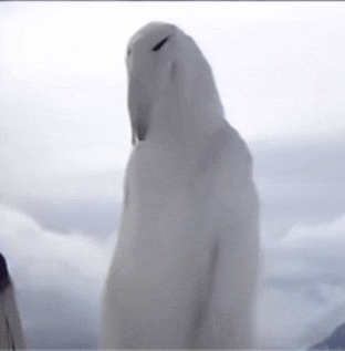 a white bird is standing in front of a cloudy sky with mountains in the background