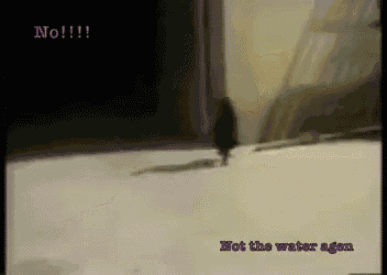 a video of a person walking with the words " not the water again " at the bottom