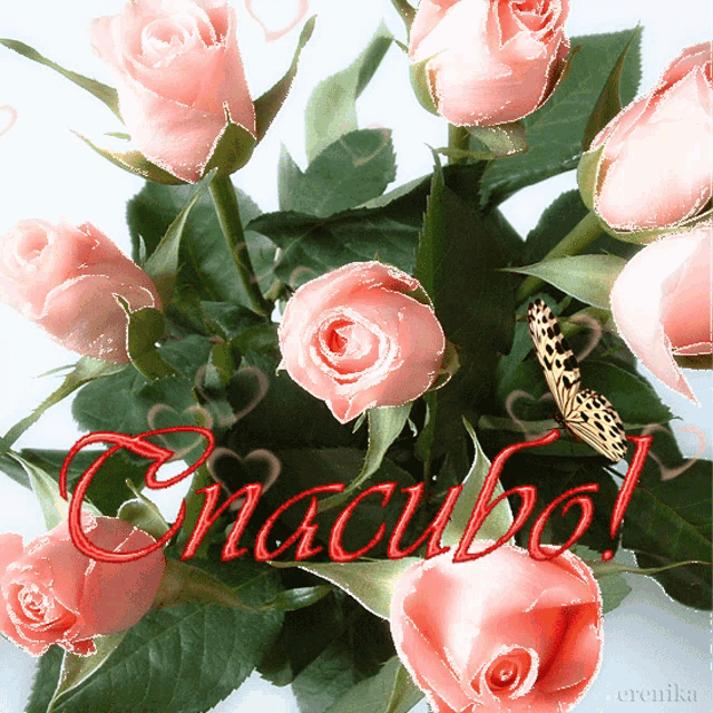 a bouquet of pink roses with a butterfly and the word спасибо written in red