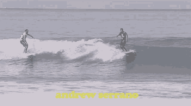 Andrew Serrano Flamboiar GIF - Andrew Serrano Flamboiar Manobra De Surf GIFs