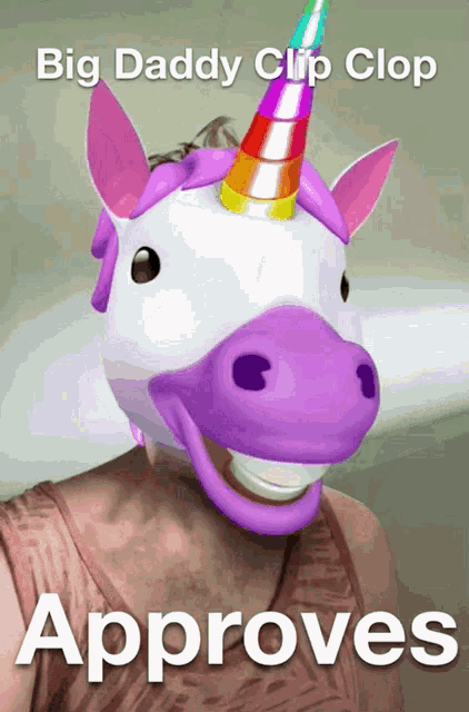 a person wearing a unicorn mask with the words big daddy clip clop approves