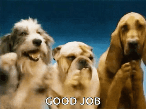 Clapping Dog Applause GIF - Clapping Dog Applause Clap GIFs