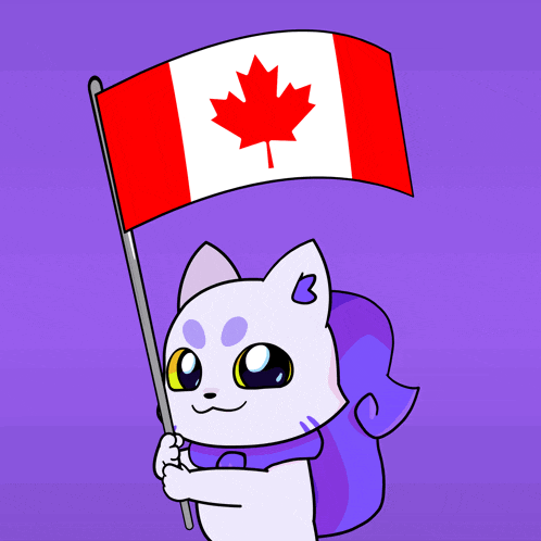 a white cat holding a canadian flag with a maple leaf on it