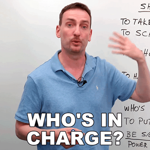 Who'S In Charge Adam GIF - Who'S In Charge Adam Engvid GIFs