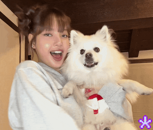 a woman is holding a small white dog with a santa hat on